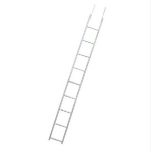 steel ladder